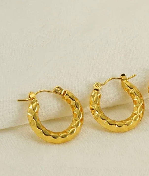Paty earrings