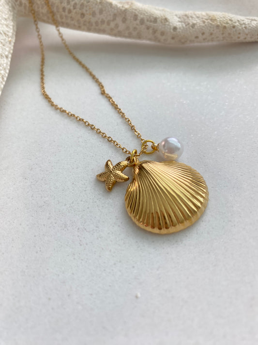 Concha necklace
