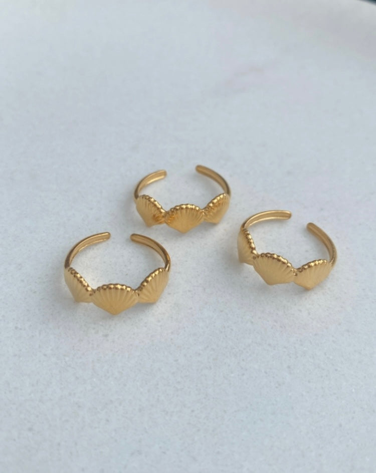 Conchitas ring