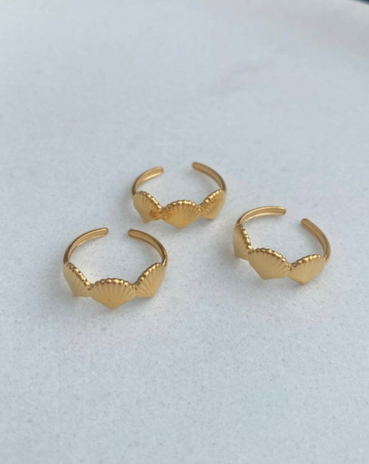 Conchitas ring